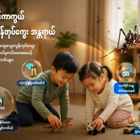 မိုးရာသီရဲ့ ပျော်ရွှင်မှုတွေကြားမှာ 